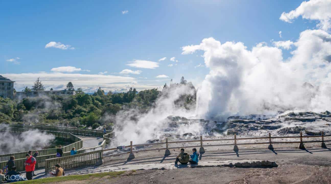 Whakarewarewa Village Tour