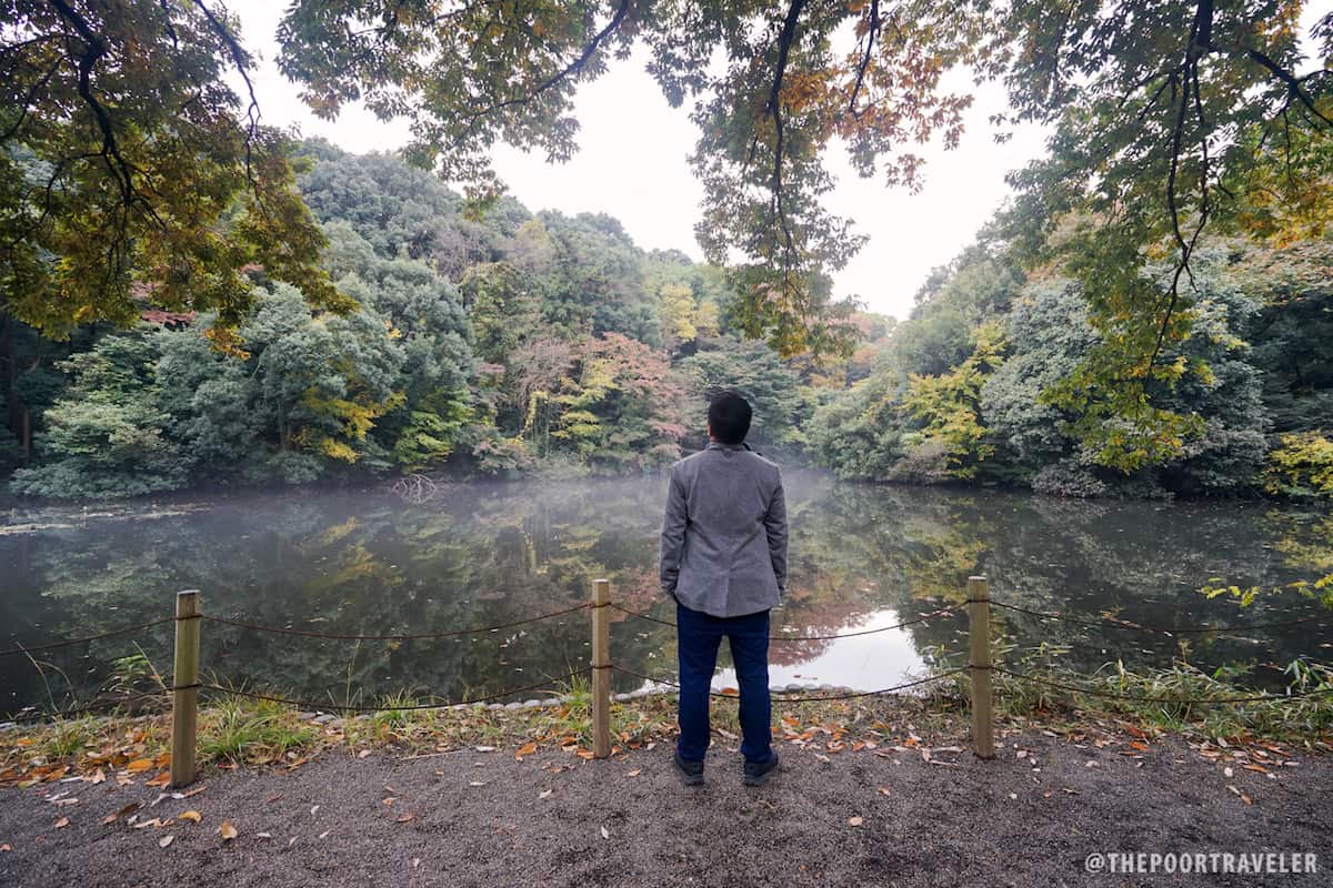 Meihi Shrine Pond