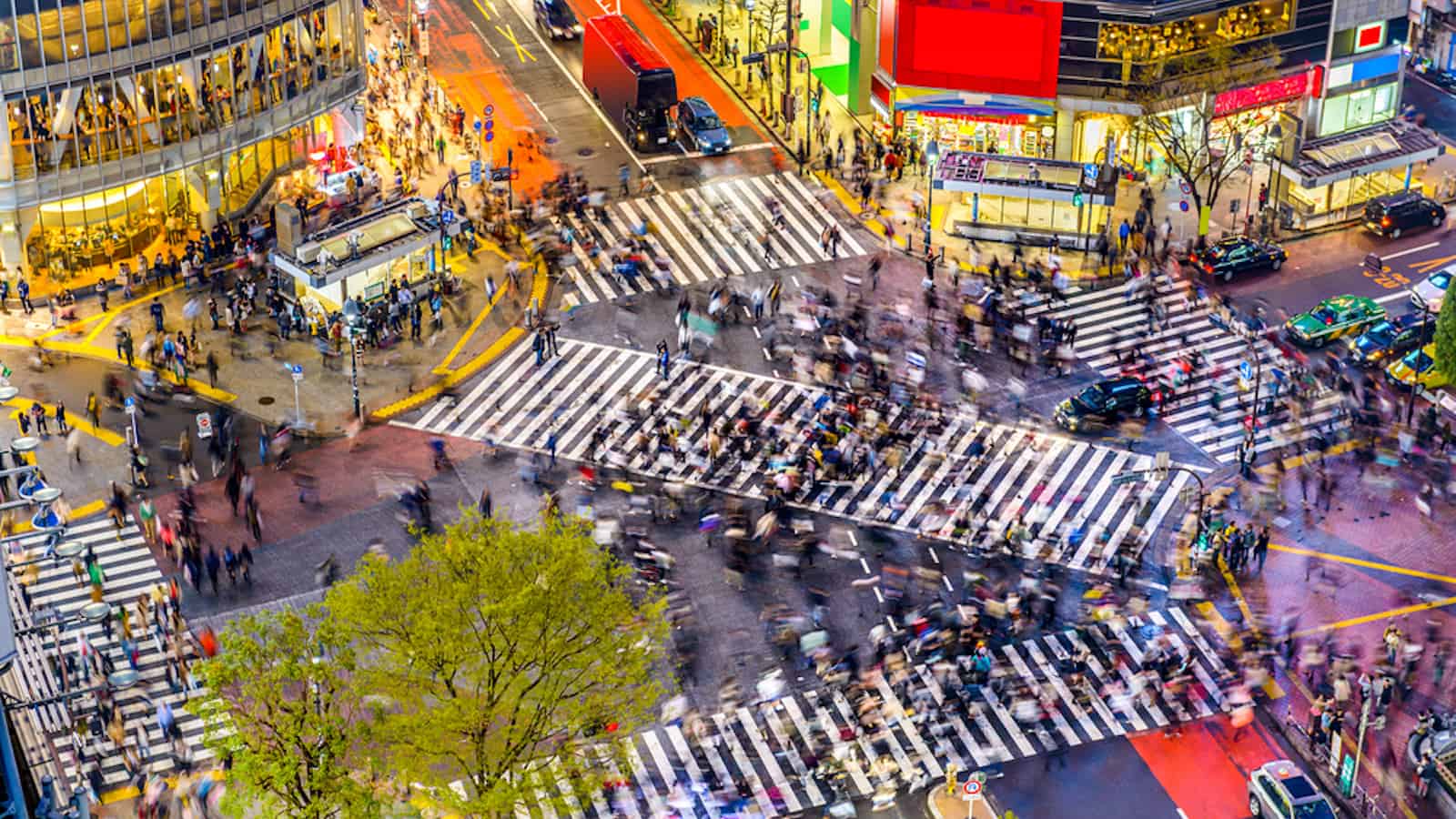 Shibuya Crossing