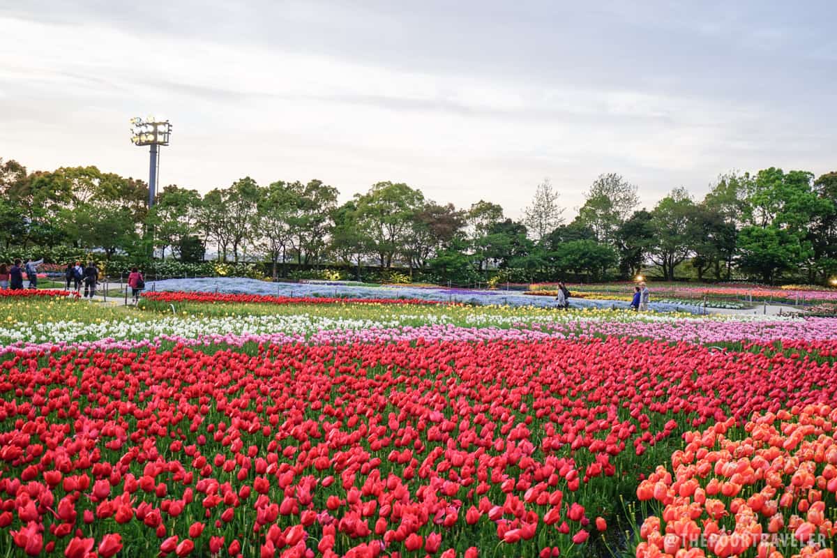 Nabana no Sato Park