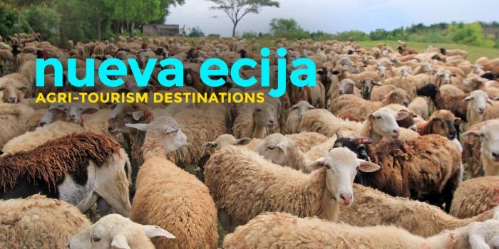 8 Agri-Tourism Destinations in Nueva Ecija