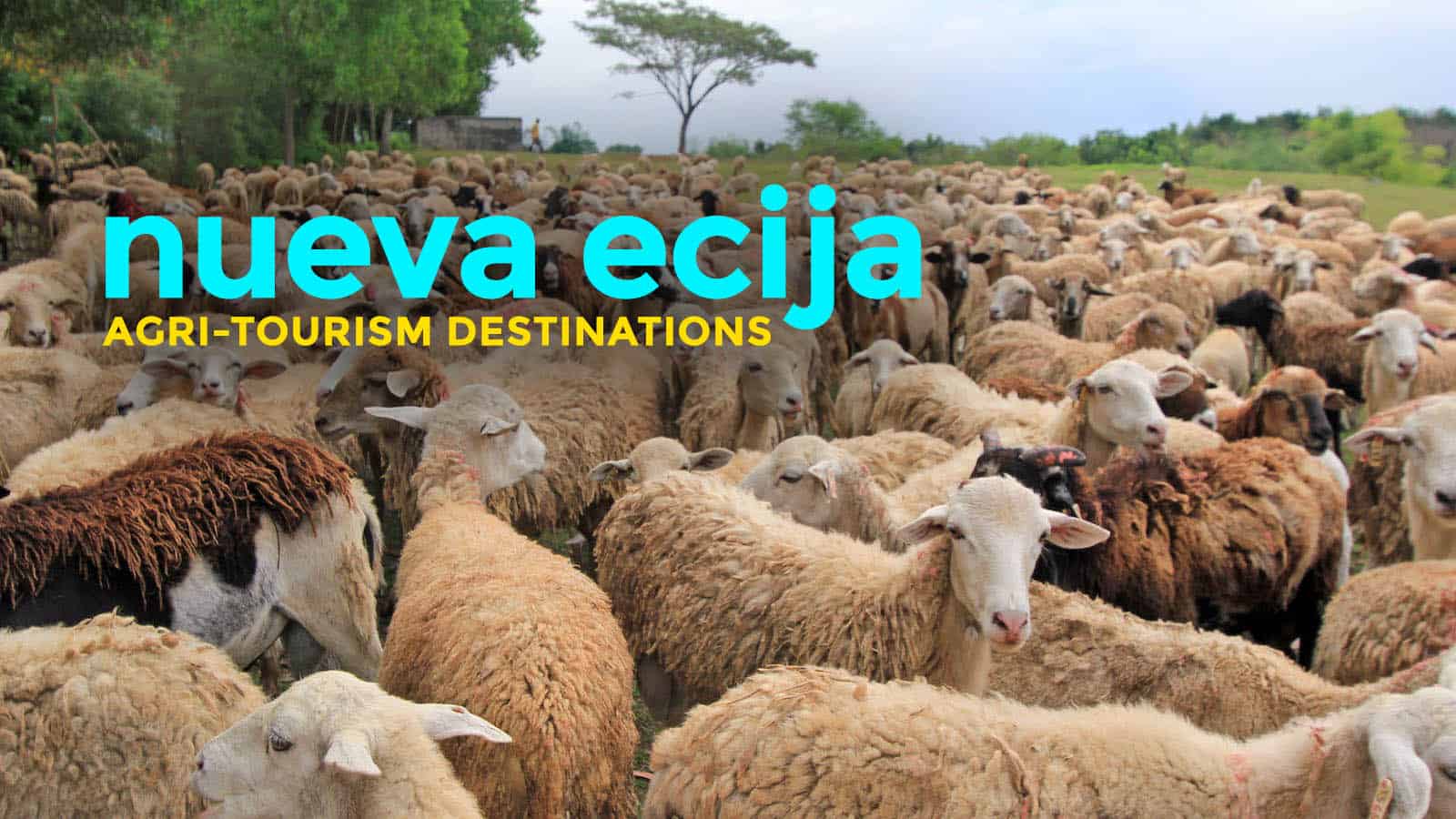 8 Agri-Tourism Destinations in Nueva Ecija