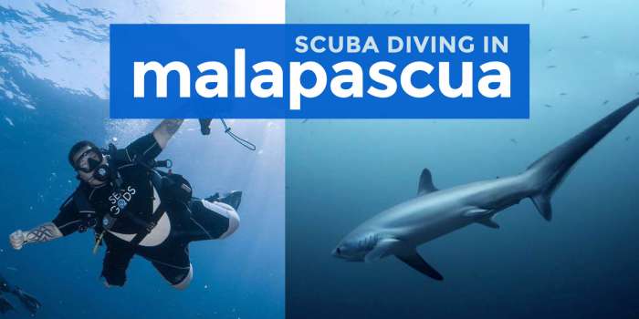 Scuba Diving in MALAPASCUA ISLAND