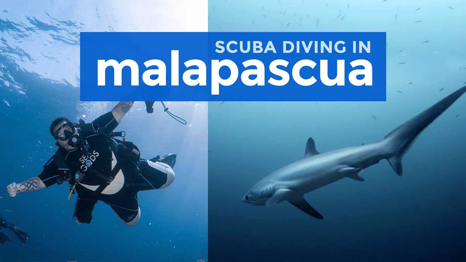 Scuba Diving in MALAPASCUA ISLAND