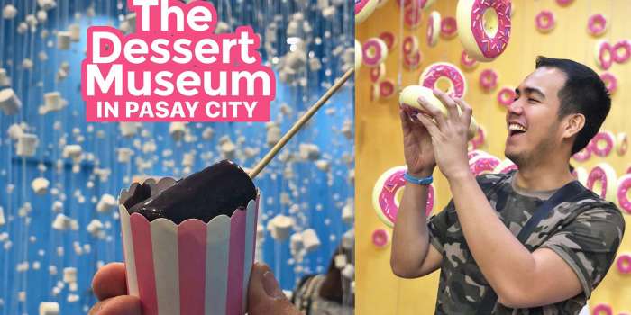 THE DESSERT MUSEUM MANILA: What to Expect