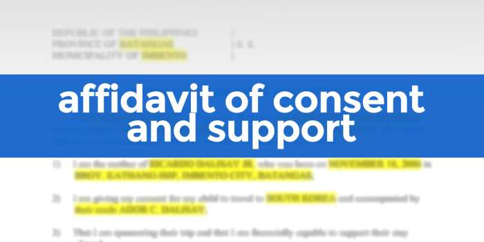 AFFIDAVIT OF CONSENT AND SUPPORT (FREE SAMPLE)
