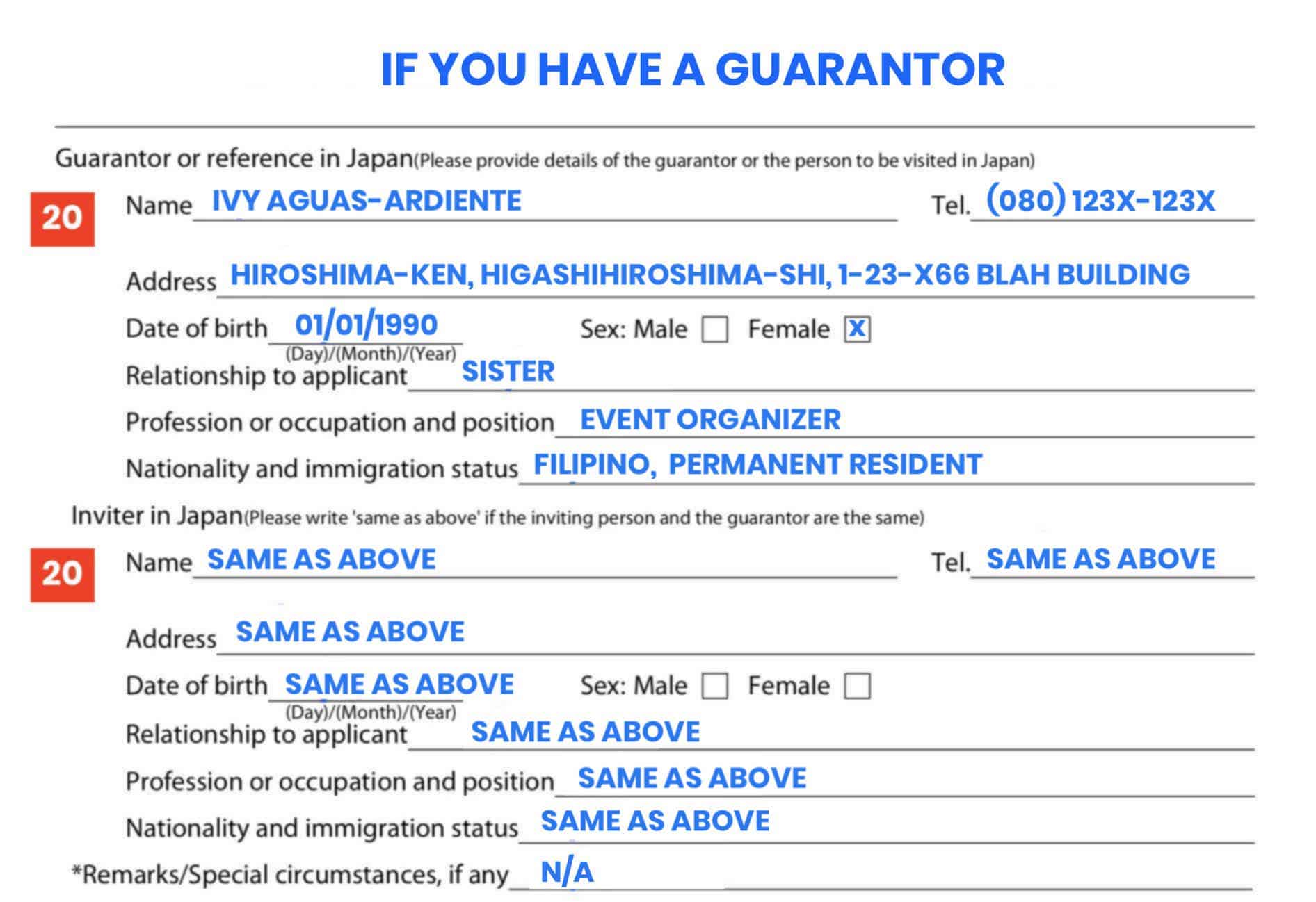 how to fill up japan tourist visa application form