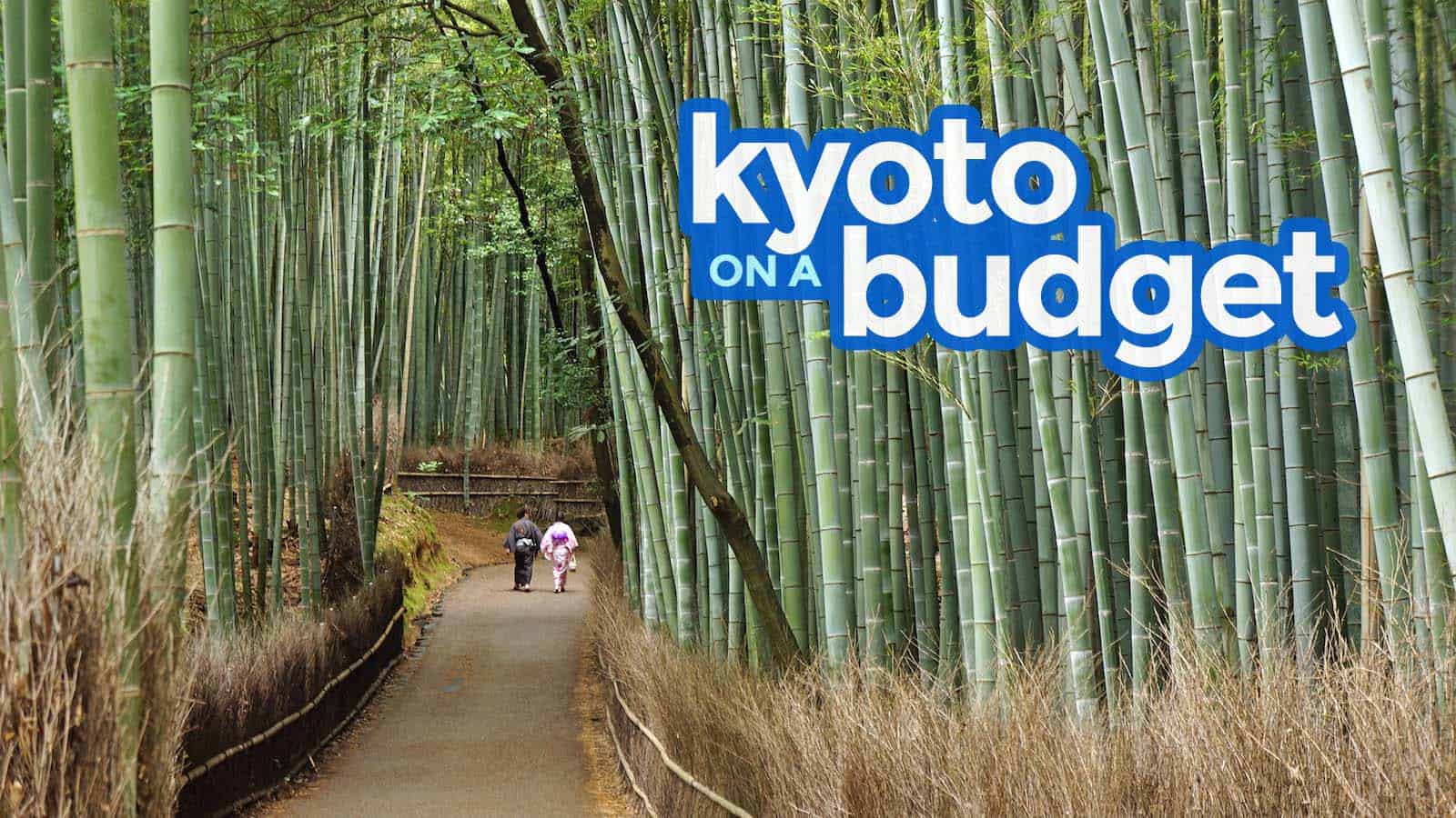 New Kyoto Travel Guide Budget Itinerary Things To Do