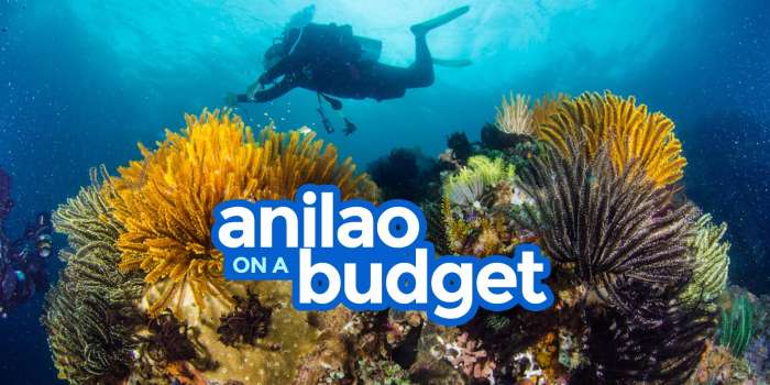 ANILAO BATANGAS: Travel Guide & Budget Itinerary