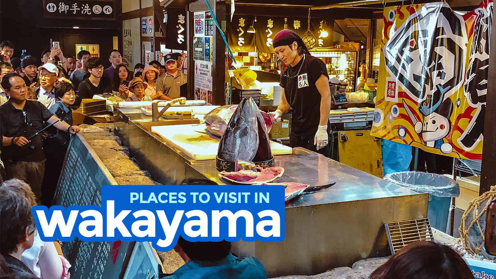 WAKAYAMA ITINERARY: 7 Best Things to Do & Places to Visit