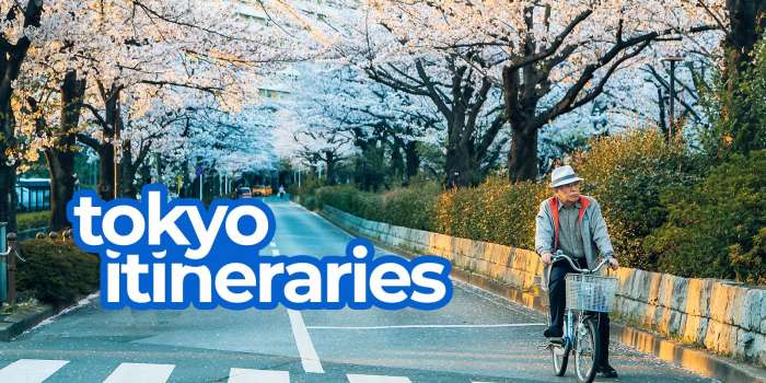 Sample TOKYO ITINERARIES with Estimated Budget: 1-8 Days