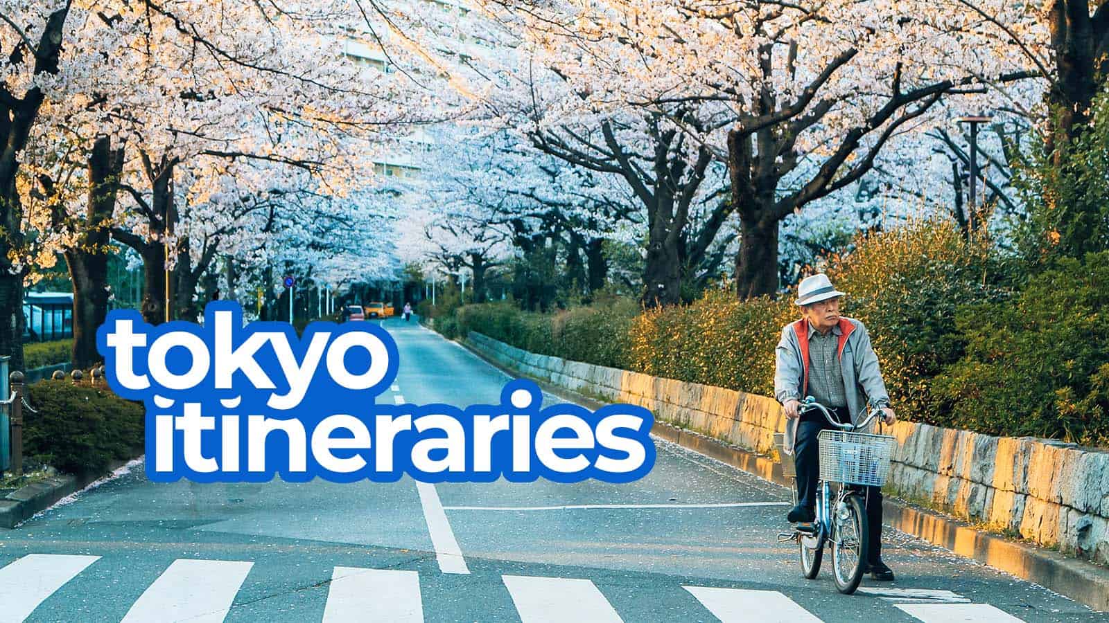 Sample TOKYO ITINERARIES with Estimated Budget: 1-8 Days
