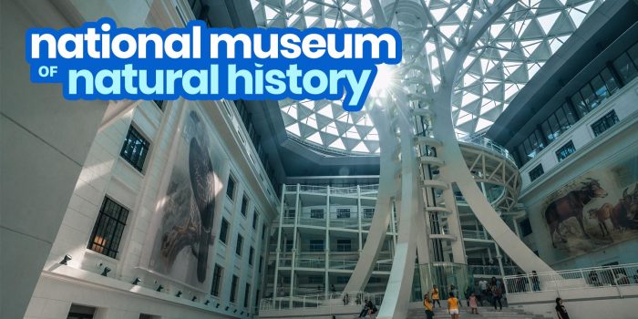 NATIONAL MUSEUM OF NATURAL HISTORY in MANILA: Guide for First-Timers