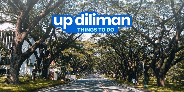 7 THINGS TO DO in UP DILIMAN