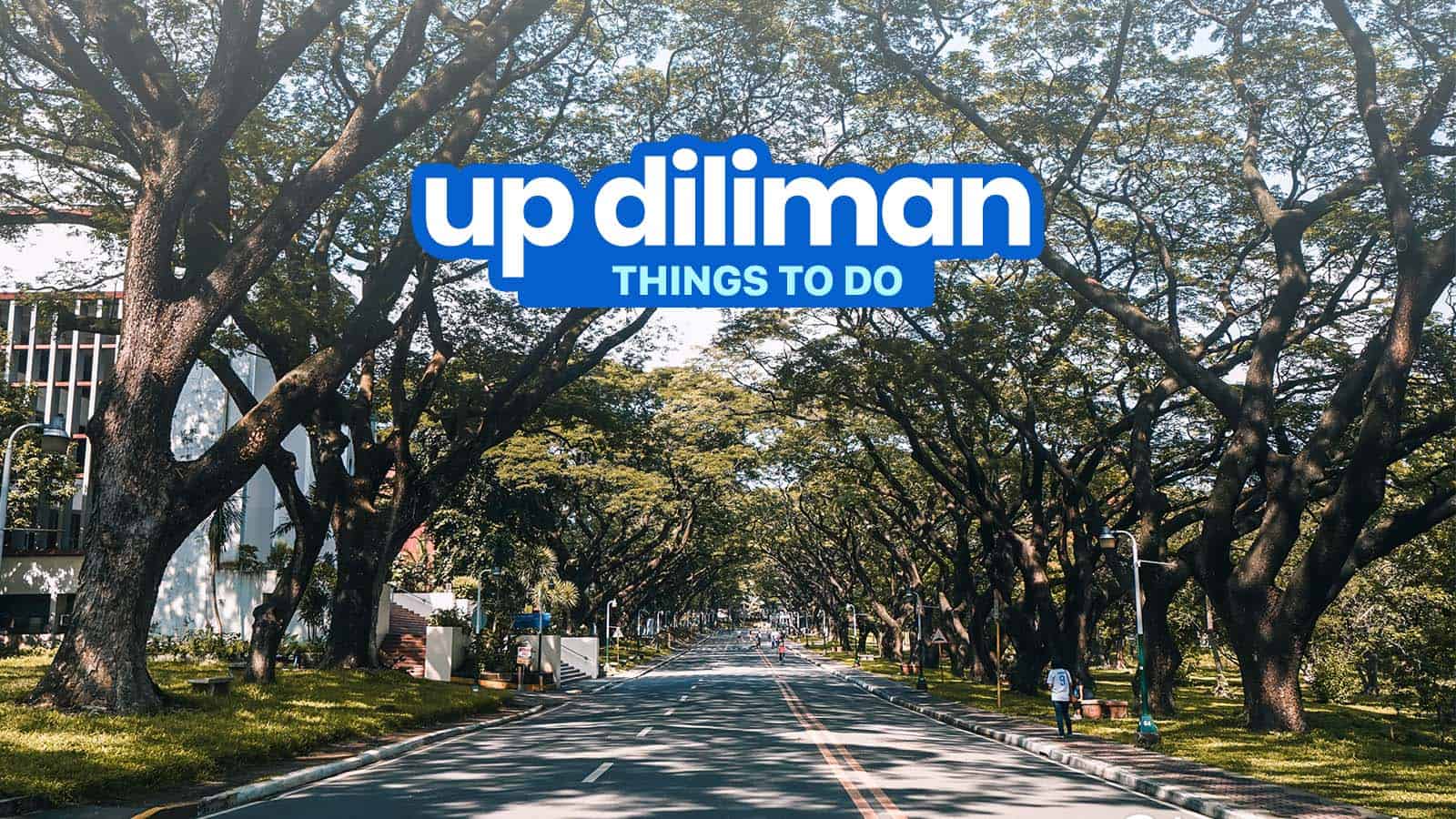 7 THINGS TO DO in UP DILIMAN