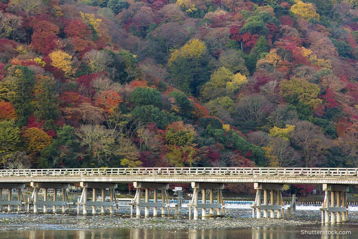 kyoto osaka tour