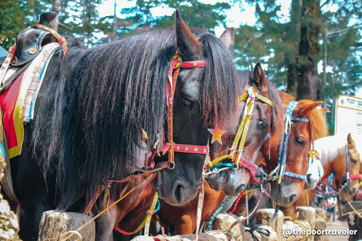 tourist spots near baguio city