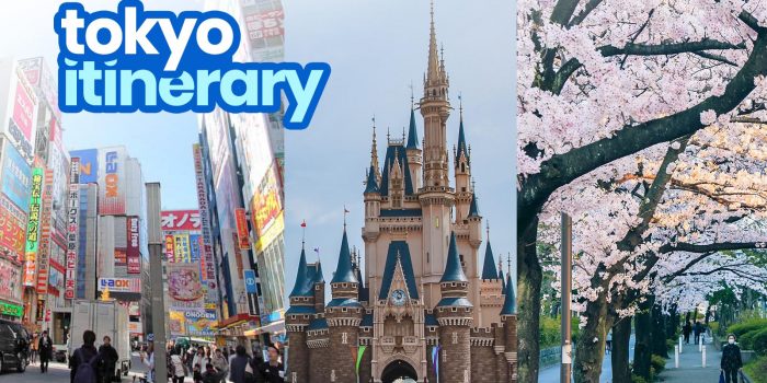 THE BEST OF TOKYO in 5 DAYS: Sample Itinerary for First Timers