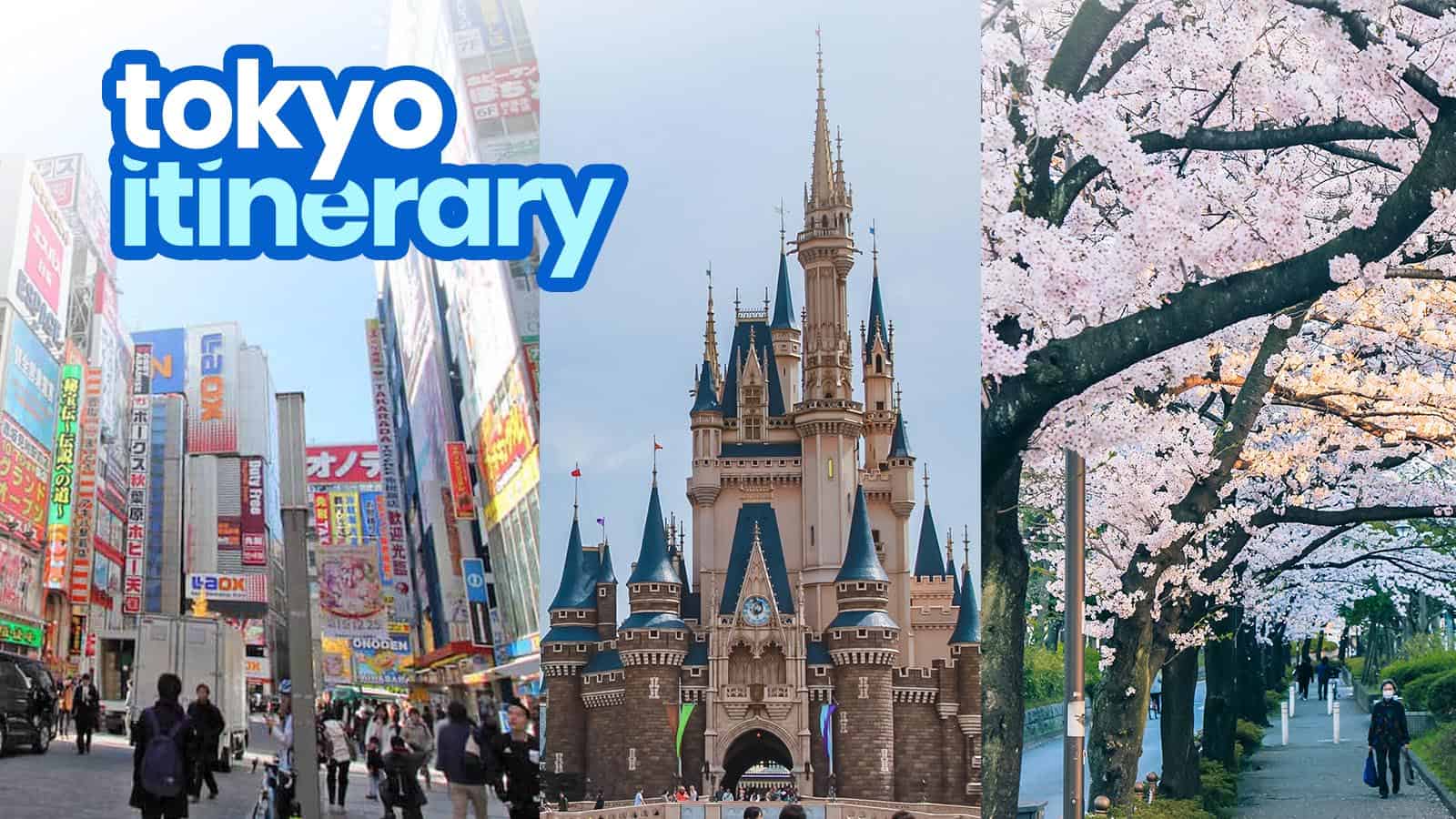 THE BEST OF TOKYO in 5 DAYS: Sample Itinerary for First Timers