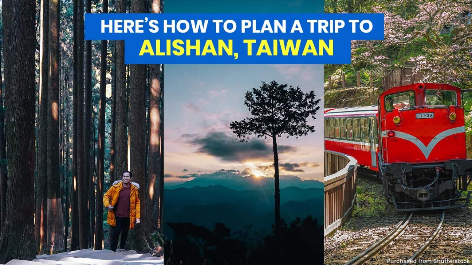 alishan tour package