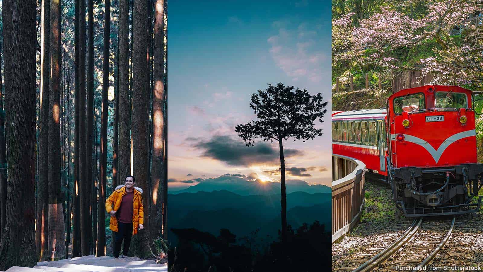 alishan travel package