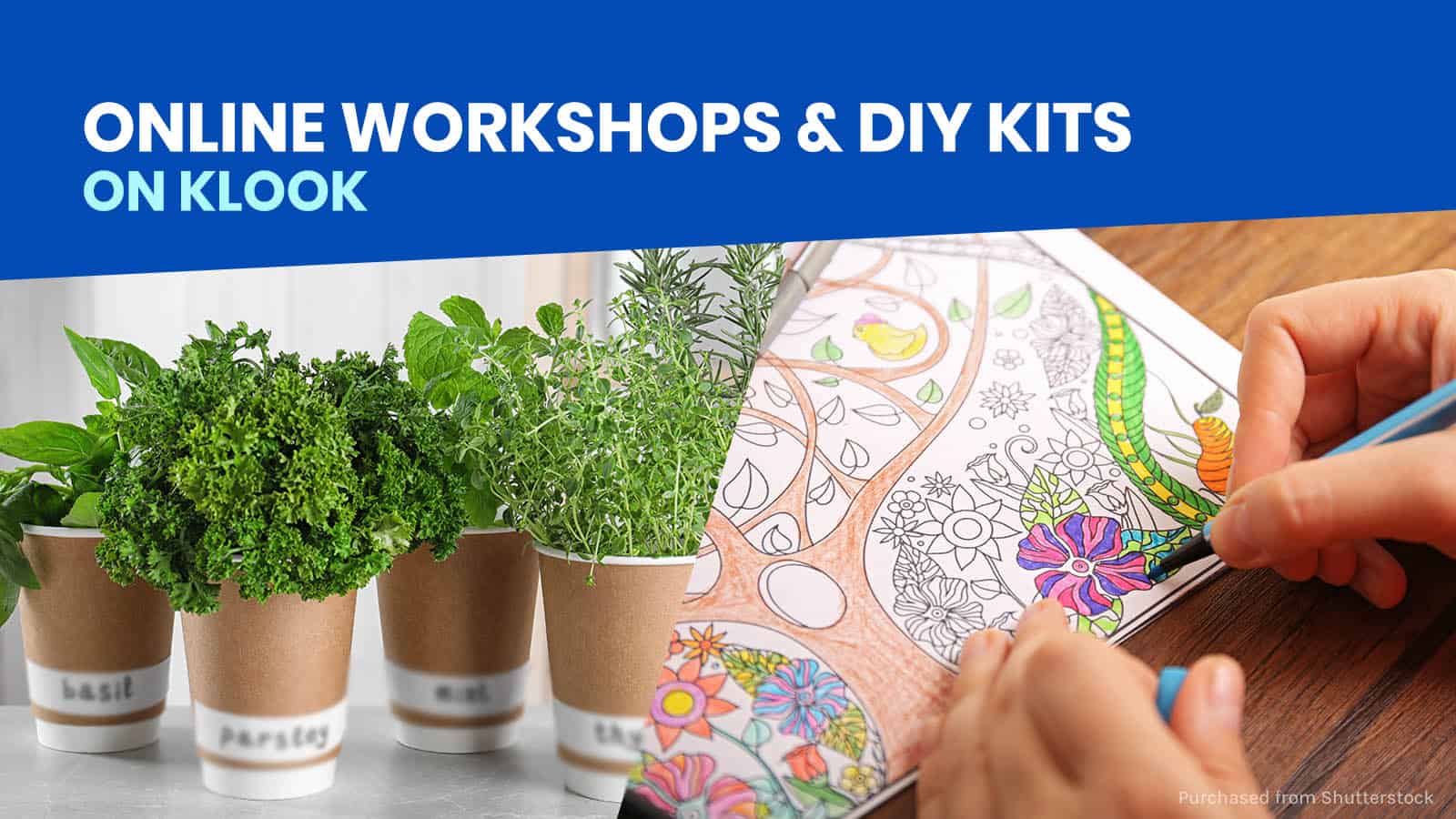 8 ONLINE WORKSHOPS & DIY KITS Available on Klook