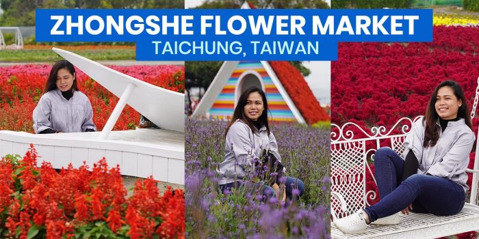 ZHONGSHE / CHUNGSHE FLOWER MARKET: Travel Guide + How to Get There (Taichung, Taiwan)