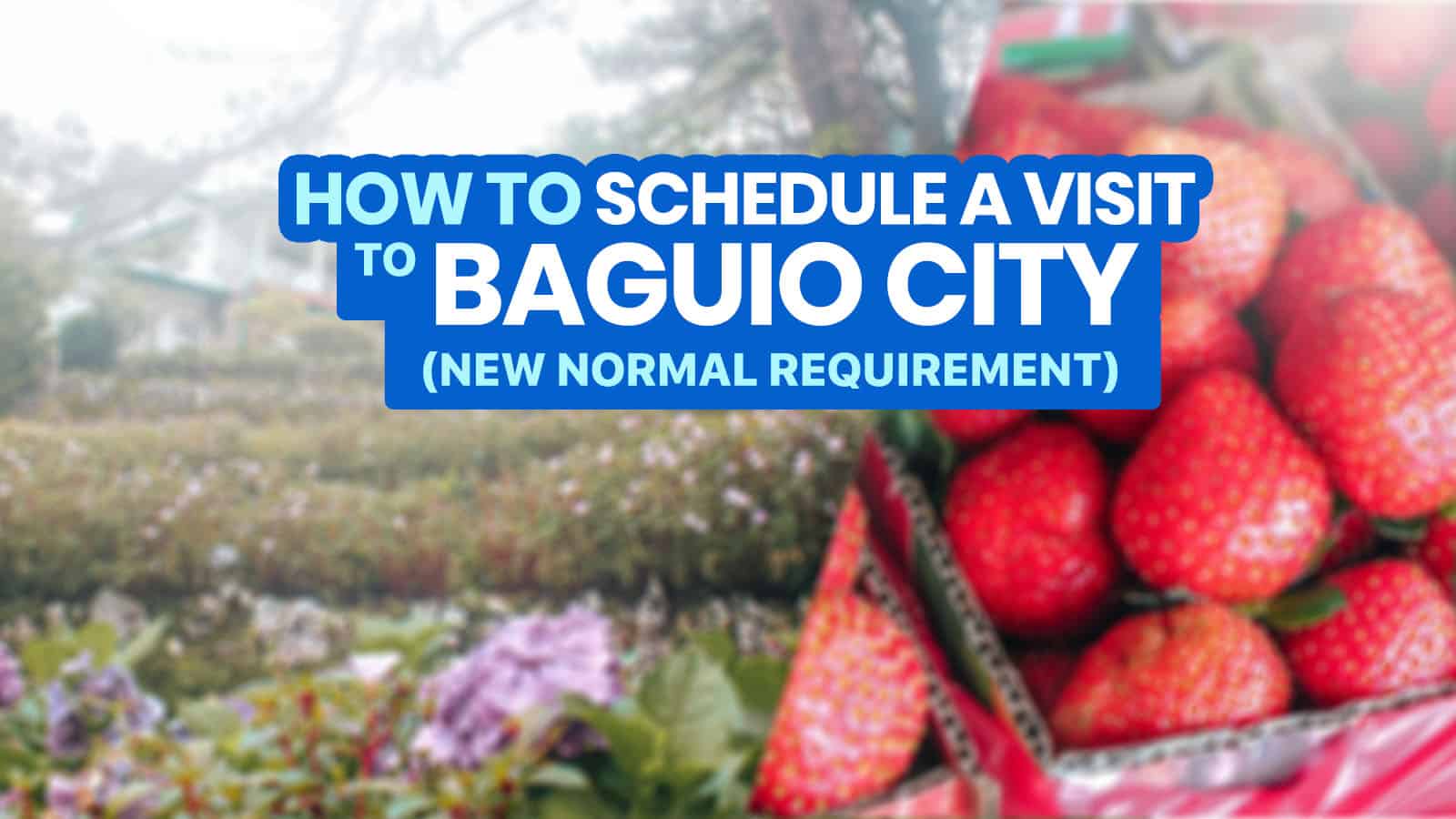 How to SCHEDULE A VISIT via BAGUIO VISITA + Step-by-Step Online Guide