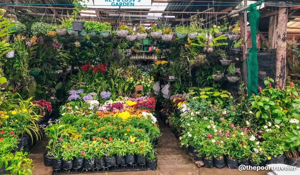 25 TAGAYTAY TOURIST SPOTS & THINGS TO DO 2021 The Poor Traveler