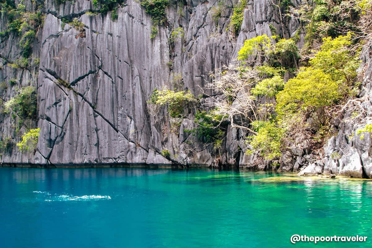 tour guide script in coron palawan