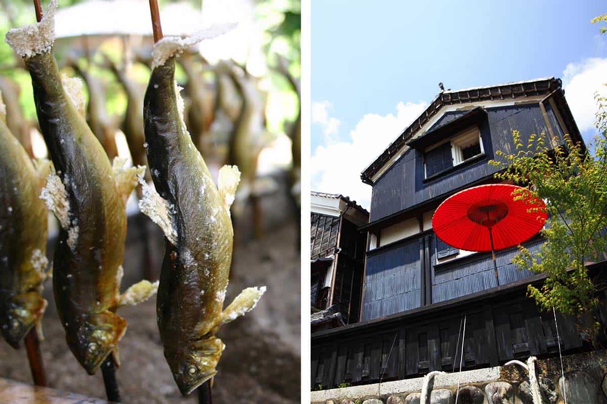 Ayu Caught by Cormorant and Kawaramachi Warehouses