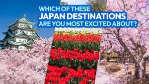 13 Places to Visit in CENTRAL JAPAN in SPRING (including Cherry Blossoms Spots)