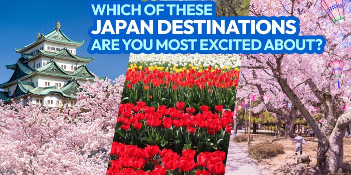 13 Places to Visit in CENTRAL JAPAN in SPRING (including Cherry Blossoms Spots)