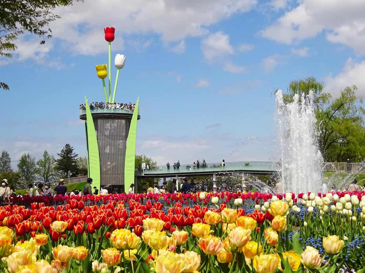 Tonami Tulip Fair in Toyama