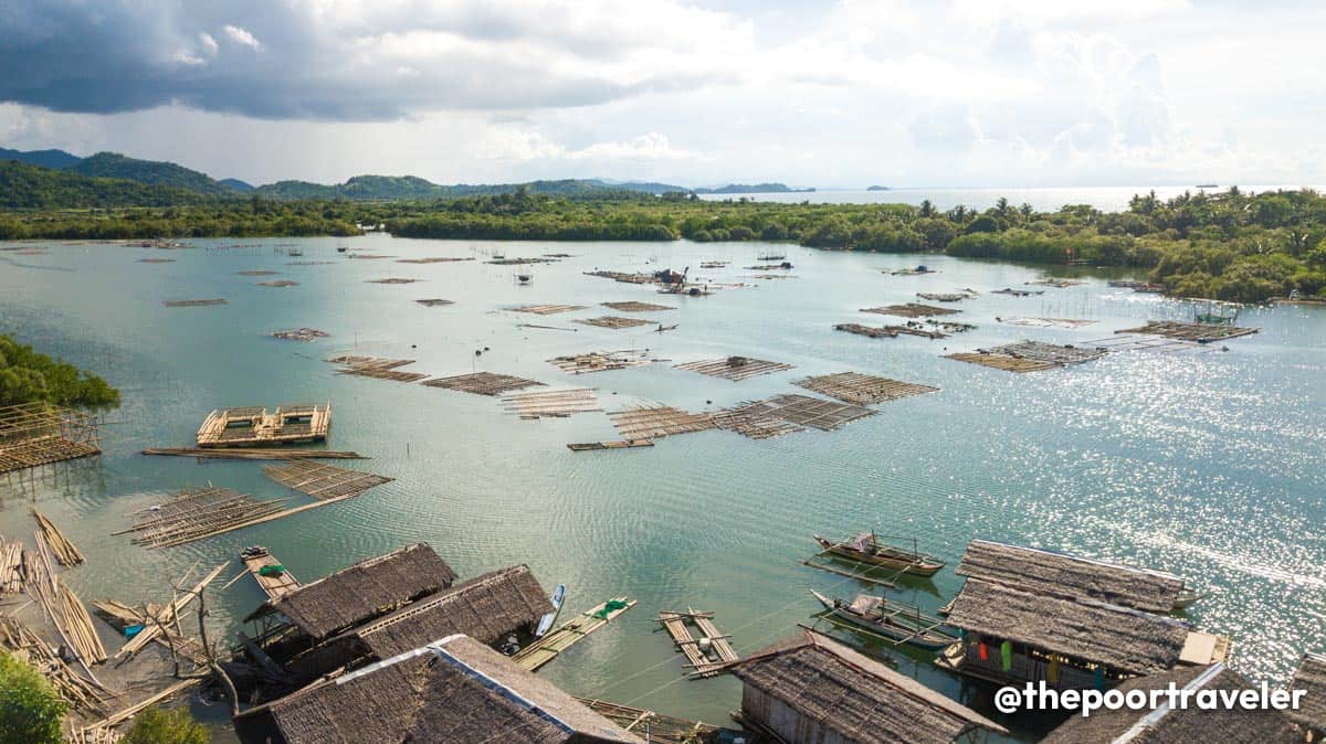 Palina Greenbelt Ecopark & River Cruise Capiz