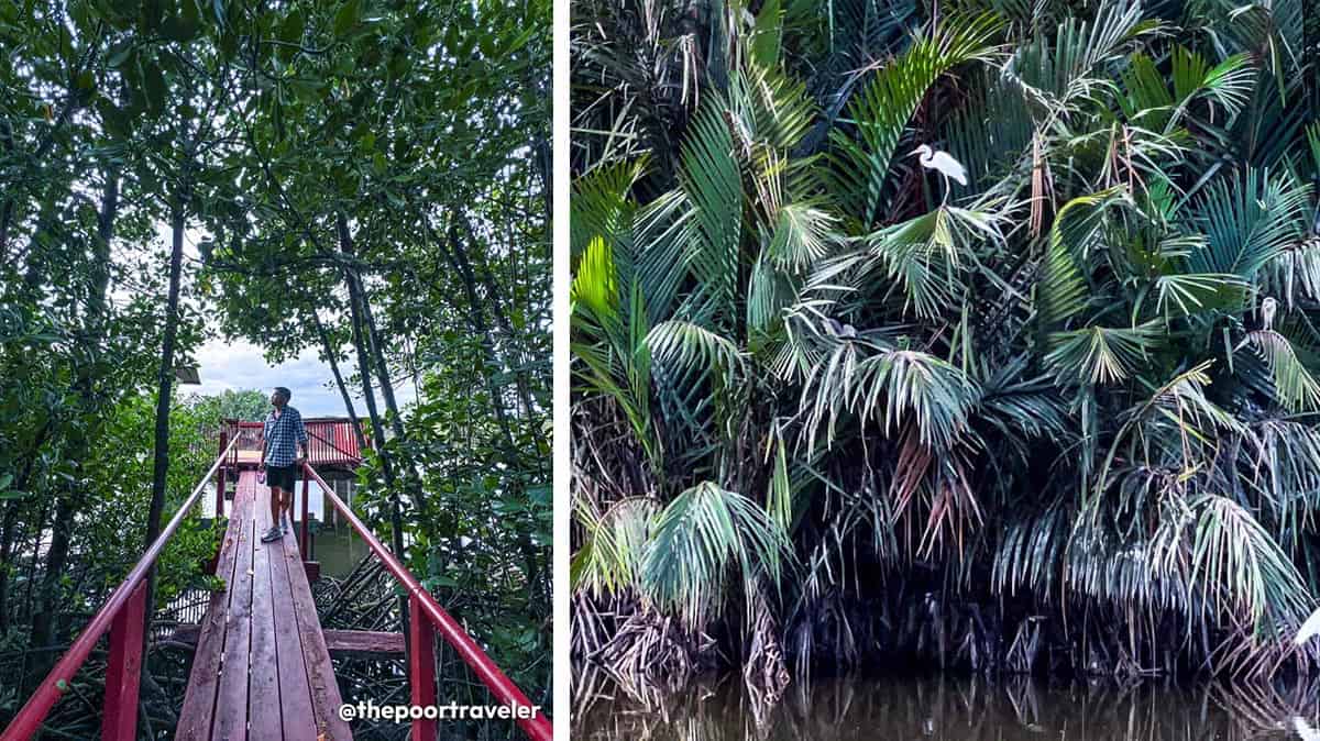 Zamboanga Bird Sanctuary