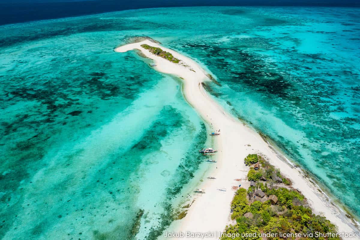 Cresta de Gallo Romblon