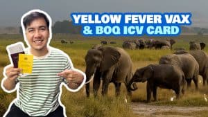 How to Get YELLOW FEVER Vaccine & ICV in the Philippines • BOQ Requirements & FAQs
