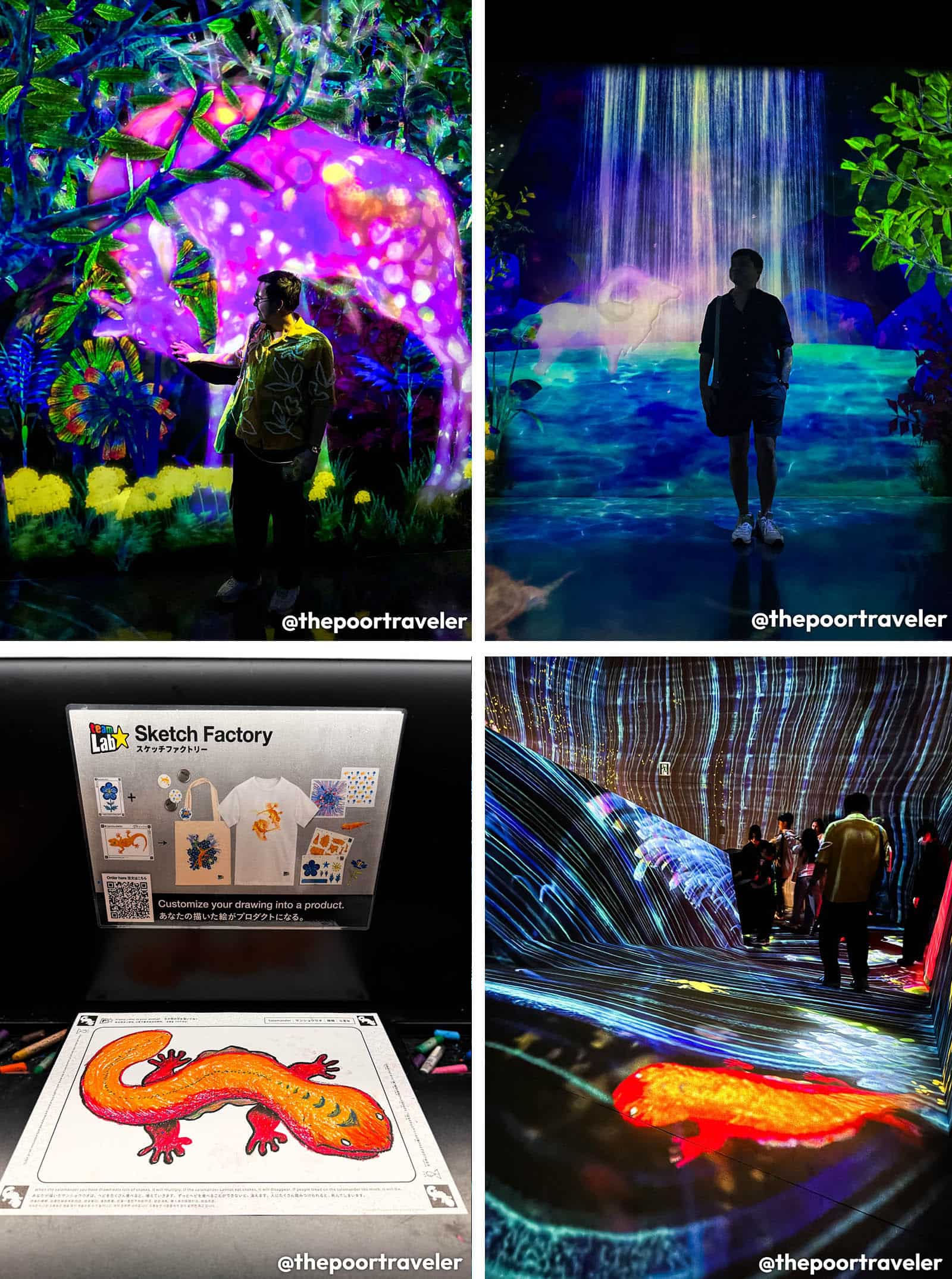 teamLab Forest Fukuoka