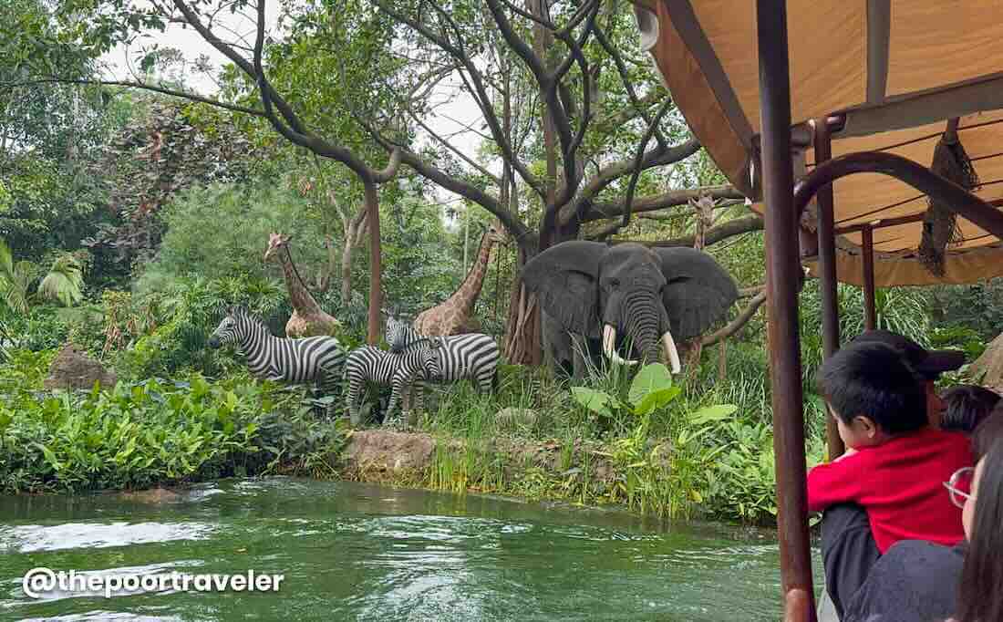 Jungle River Cruise 2 HK Disneyland
