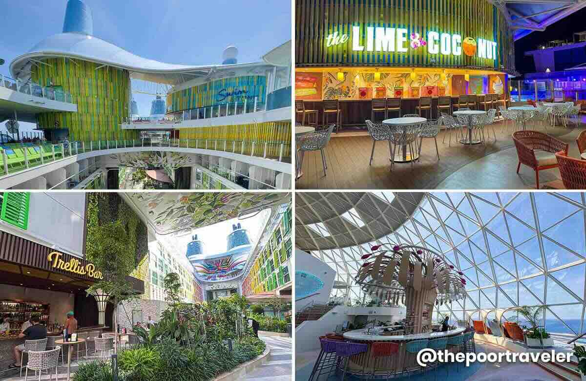 Icon of the Seas Bars