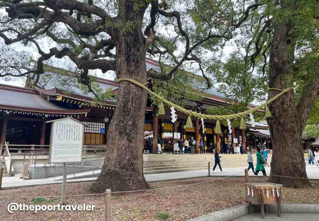 Meiji Shrine 1