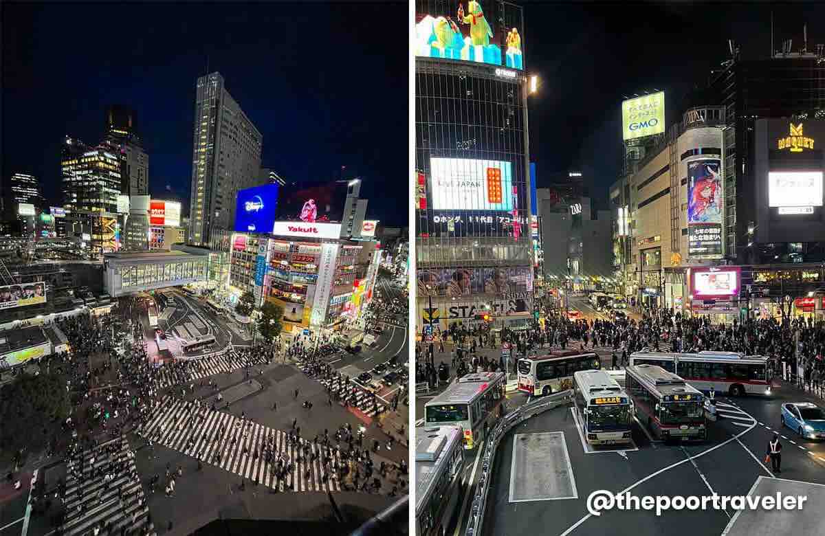 Shibuya Crossing Night
