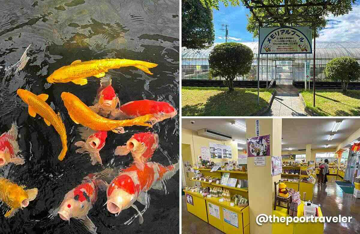 Koi Pond and Bee Farm Asakura