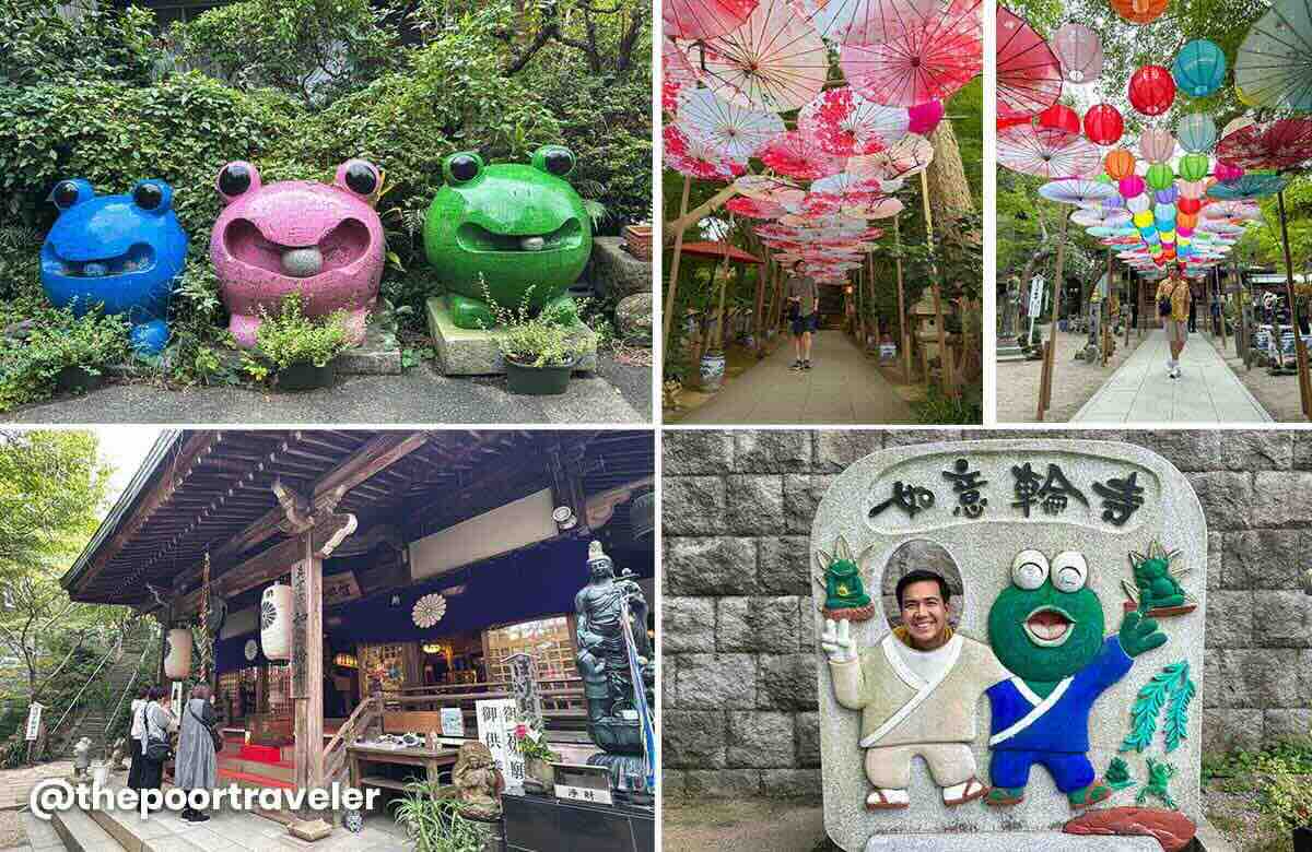 Nyoirinji Frog Temple 2