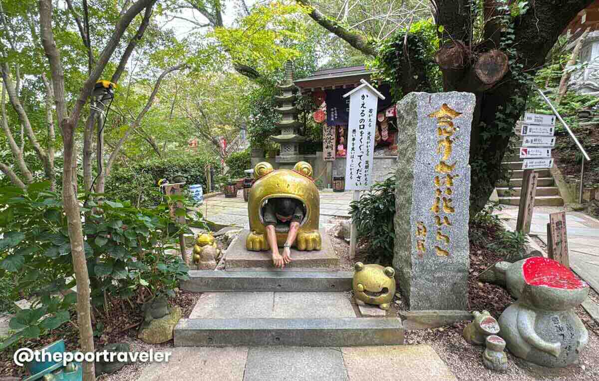 Nyoirinji Frog Temple 3