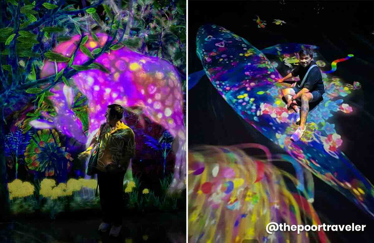 teamLab Forest Fukuoka 1