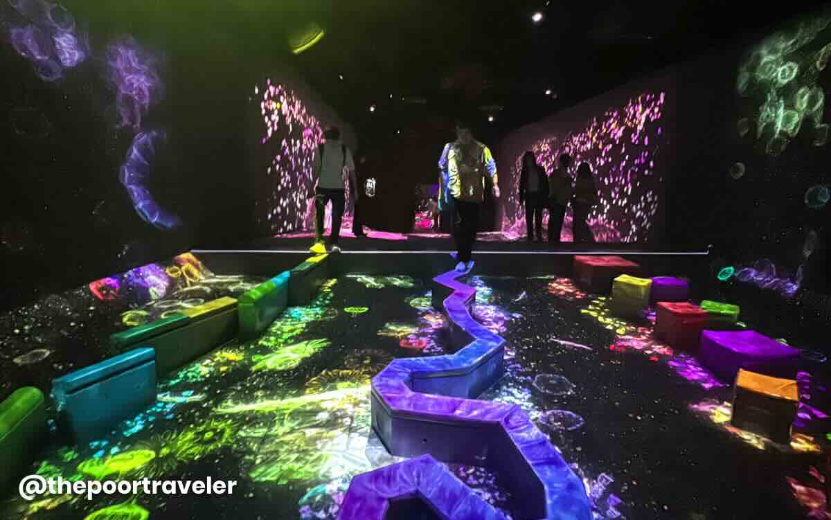 teamLab Forest Fukuoka 2