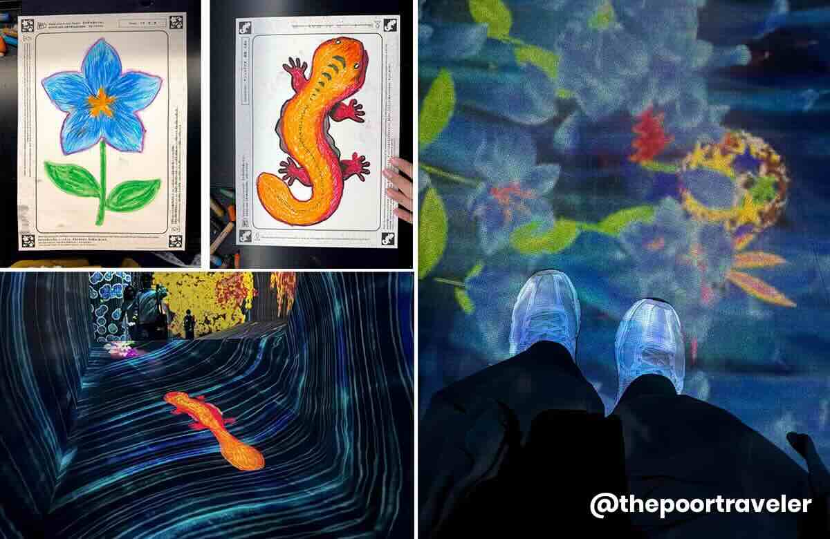 teamLab Forest Fukuoka 3