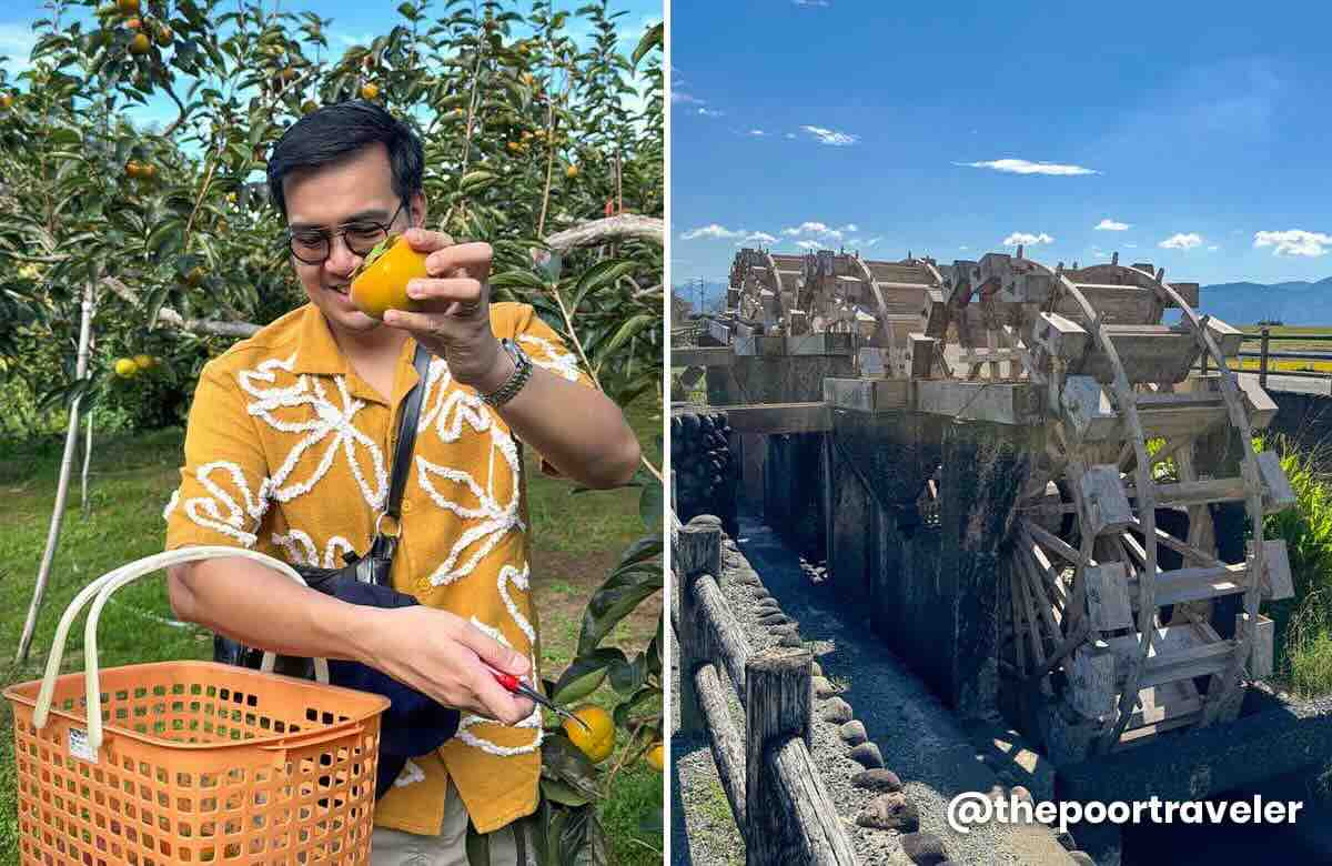 2026 FUKUOKA TRAVEL GUIDE with Sample Itinerary & Budget Asakura Tourist Spots